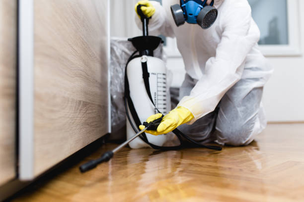 Best Pest Prevention Services  in Amity Gardens, PA