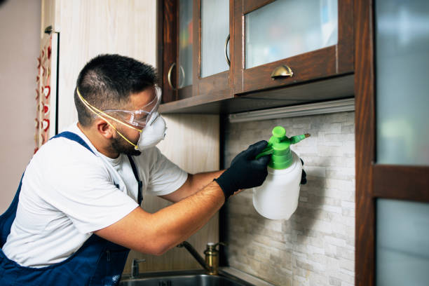 Best Affordable Pest Control Services  in Amity Gardens, PA