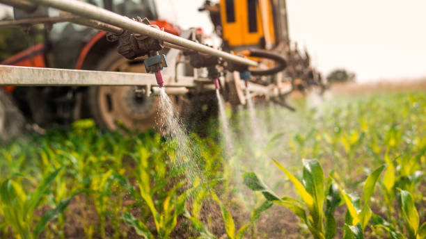 Professional Pest Control in Amity Gardens, PA