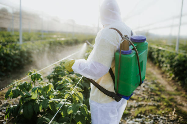 Best Cockroach Control Services  in Amity Gardens, PA